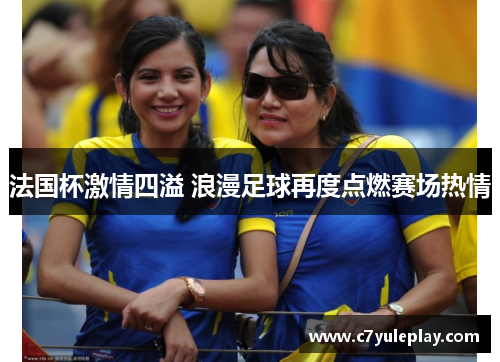 法国杯激情四溢 浪漫足球再度点燃赛场热情