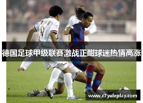 德国足球甲级联赛激战正酣球迷热情高涨