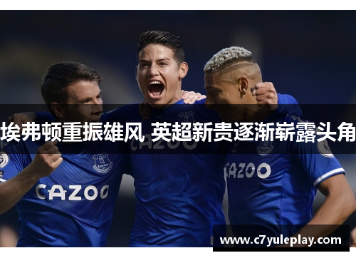 埃弗顿重振雄风 英超新贵逐渐崭露头角